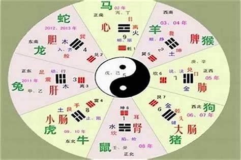 旭的五行|旭字的五行属性